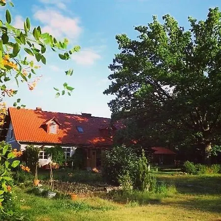Agro - Dom Wsrod Lasow * Trzcianka (Czarnkow–Trzcianka)