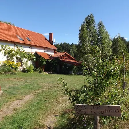 Agro - Dom Wsrod Lasow Trzcianka (Czarnkow–Trzcianka)