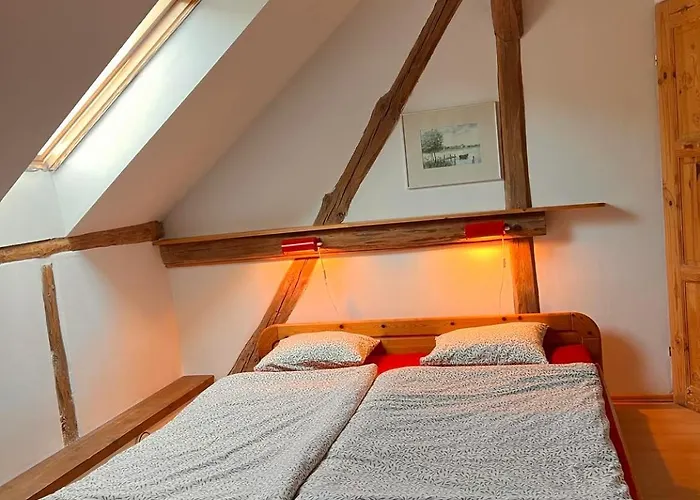 Agro - Dom Wsrod Lasow Konukevi Trzcianka (Czarnkow-Trzcianka)