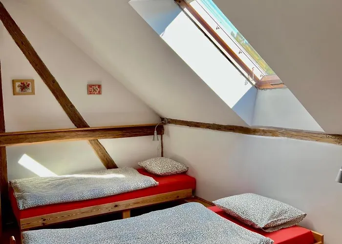 Agro - Dom Wsrod Lasow