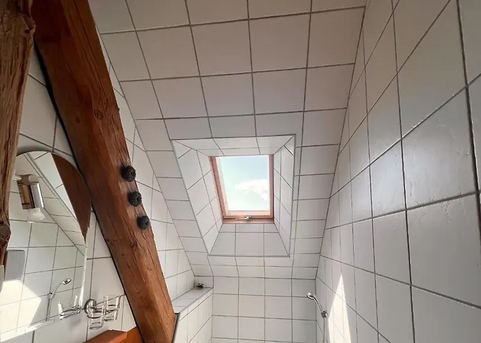 Agro - Dom Wsrod Lasow Trzcianka (Czarnkow-Trzcianka)